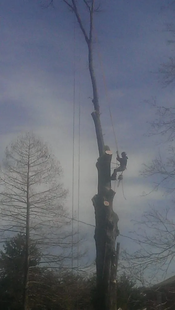 Affordable lawn mowing service in Plymouth Meeting, PA by Koszowski Landscaping