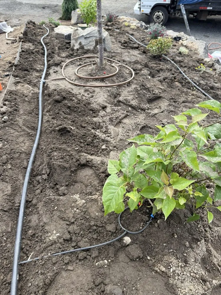 Professional yard maintenance for year-round maintenance across Airway Heights, WA - KOT