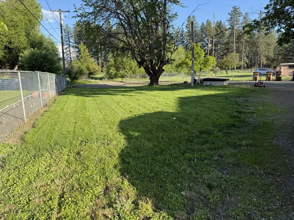 Professional landscaping services in Airway Heights, WA - KOT