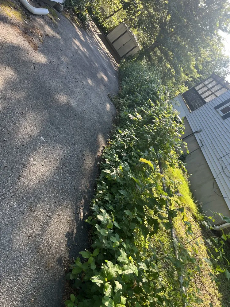 Top-rated residential landscaping for homes across Holbrook, MA - Kota Equipment and Landscape