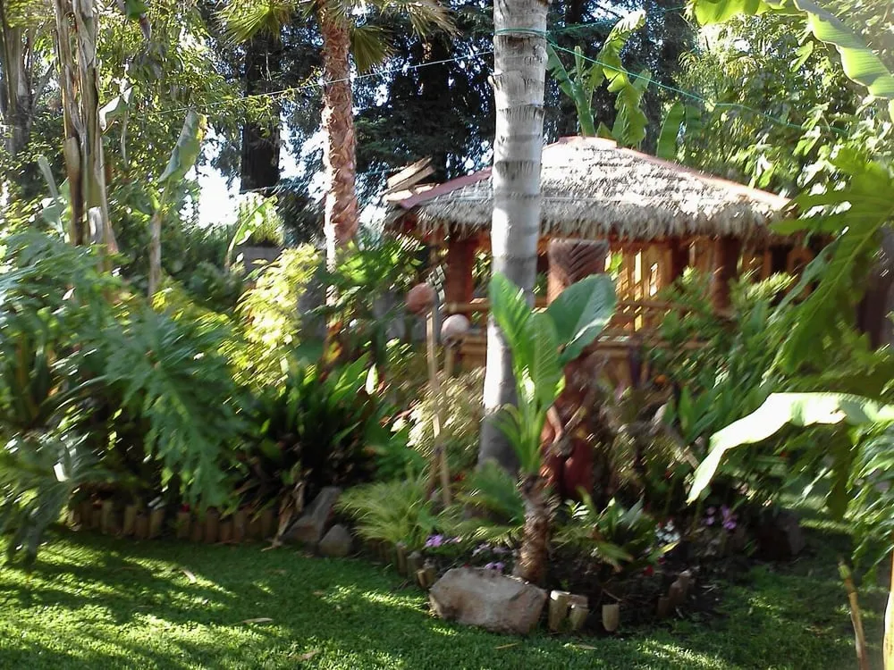 Trusted landscaping services for year-round maintenance across Fairfield, CA - Kotg Landscaping