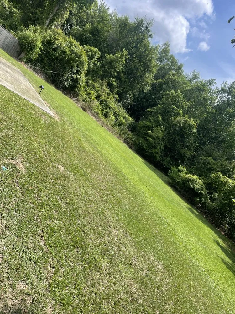 Reliable yard cleanup service experts serving Columbus, GA - Kountry BoI Unlimited