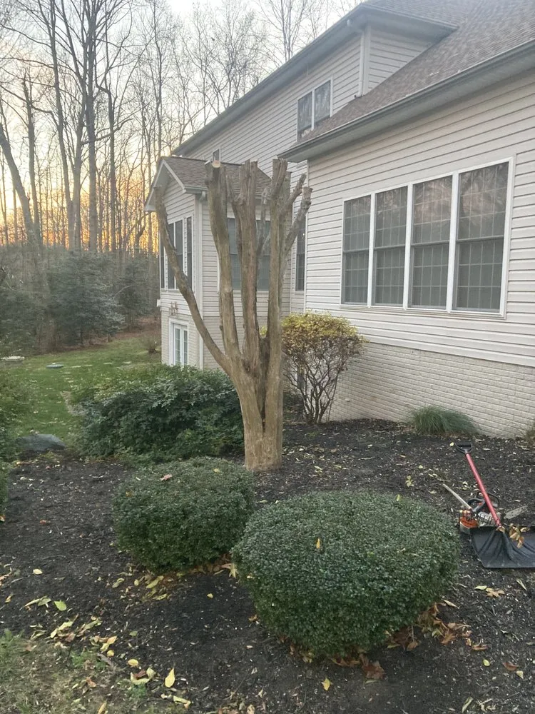 Local yard cleanup service for year-round maintenance in Culpeper, VA by Kountry Boys Outdoor Services