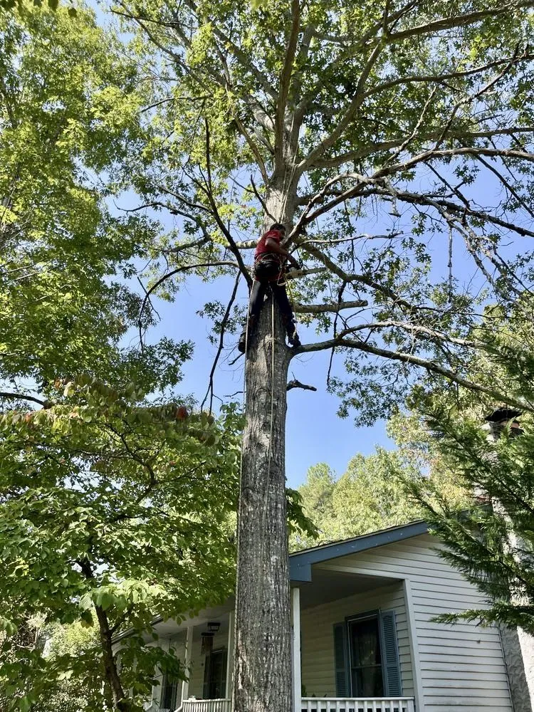 Expert landscaping services in Culpeper, VA - Kountry Boys Outdoor Services