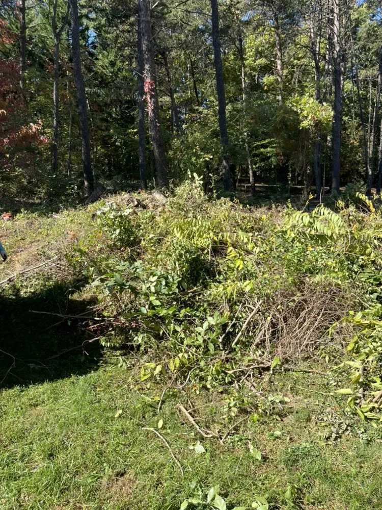 Reliable yard cleanup service in Culpeper, VA by Kountry Boys Outdoor Services