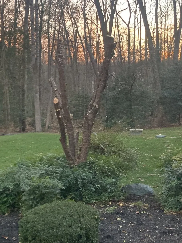 Local yard maintenance for year-round maintenance across Culpeper, VA - Kountry Boys Outdoor Services