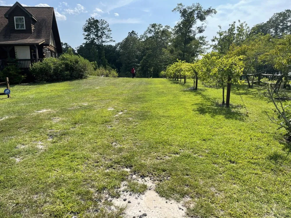 Affordable landscaping services in Hartsville, SC - Kountry Brother Cutz