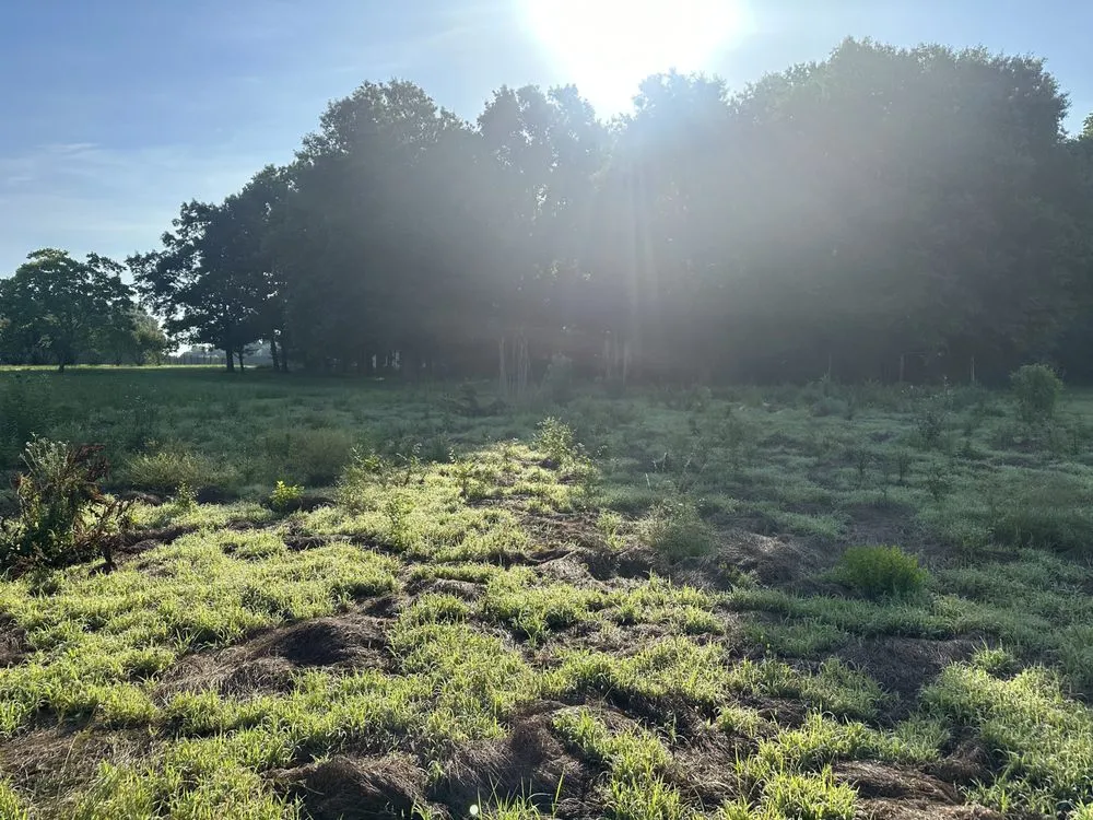 Trusted yard maintenance for outdoor upgrades in Bethune, SC by Kountry Brothers Cutz