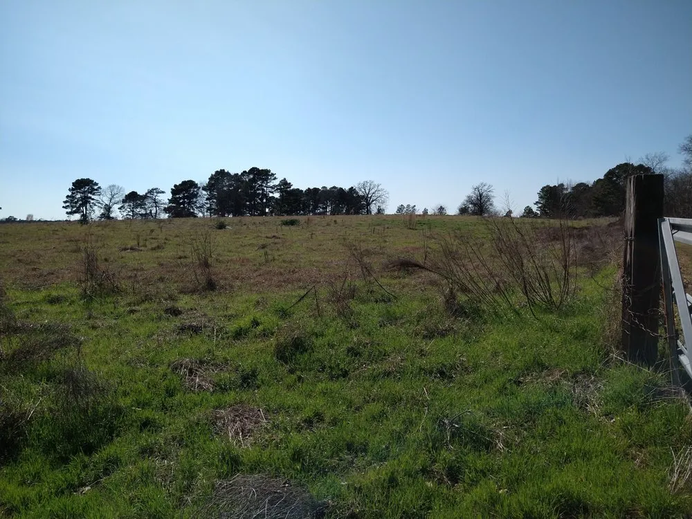 Custom landscape design in Mount Pleasant, TX - Kountry Kuts Landscaping