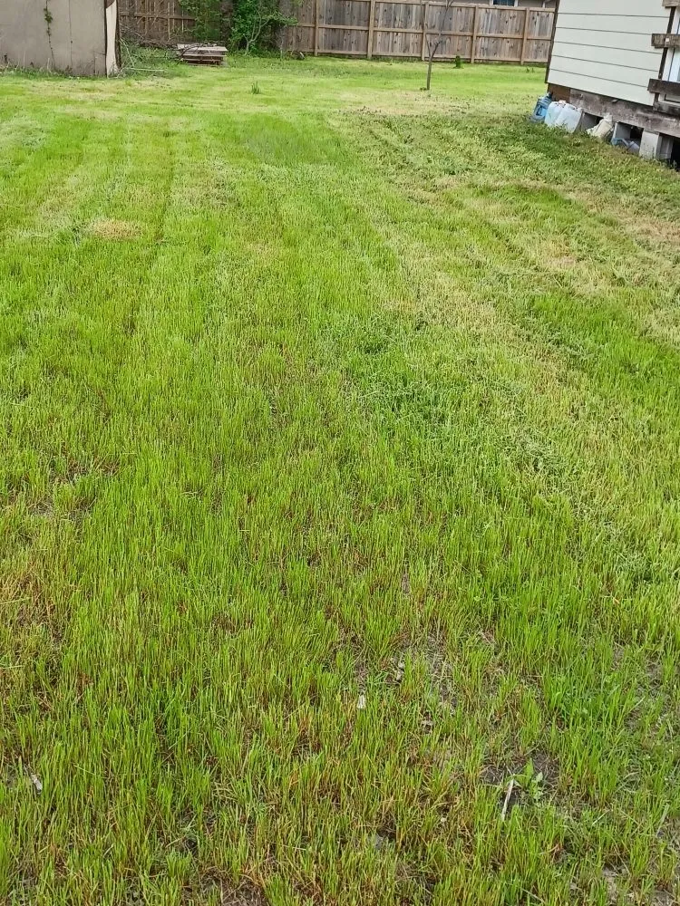 Local outdoor landscaping in Mount Pleasant, TX by Kountry Kuts Landscaping