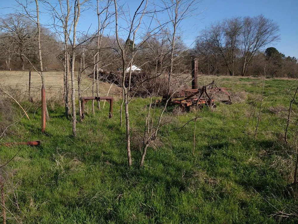 Local garden landscaping near you across Mount Pleasant, TX - Kountry Kuts Landscaping