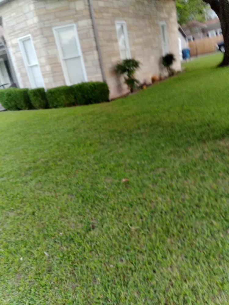 Affordable lawn mowing service in Mount Pleasant, TX - Kountry Kuts Landscaping