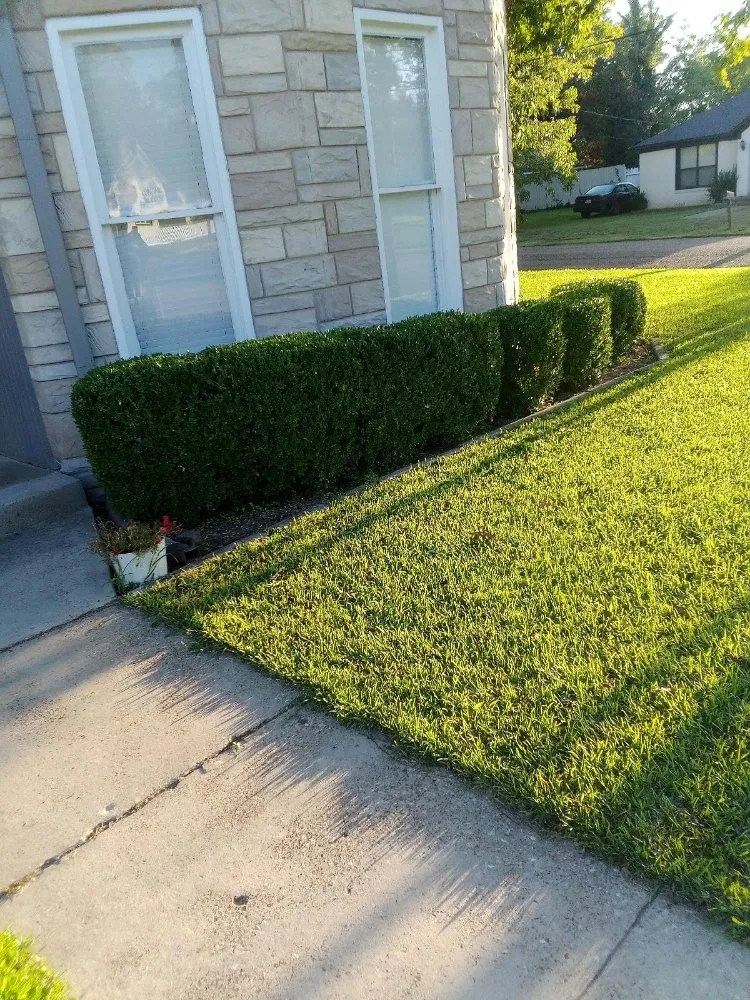 Trusted yard cleanup service for year-round maintenance in Mount Pleasant, TX by Kountry Kuts Landscaping