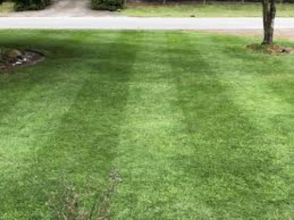 Local outdoor landscaping for residential properties in Mount Pleasant, TX by Kountry Kuts Landscaping