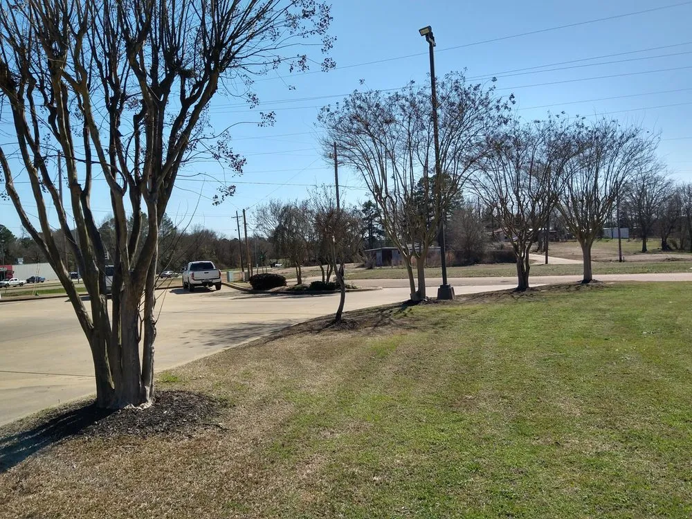 Expert landscape installation for year-round maintenance across Mount Pleasant, TX - Kountry Kuts Landscaping
