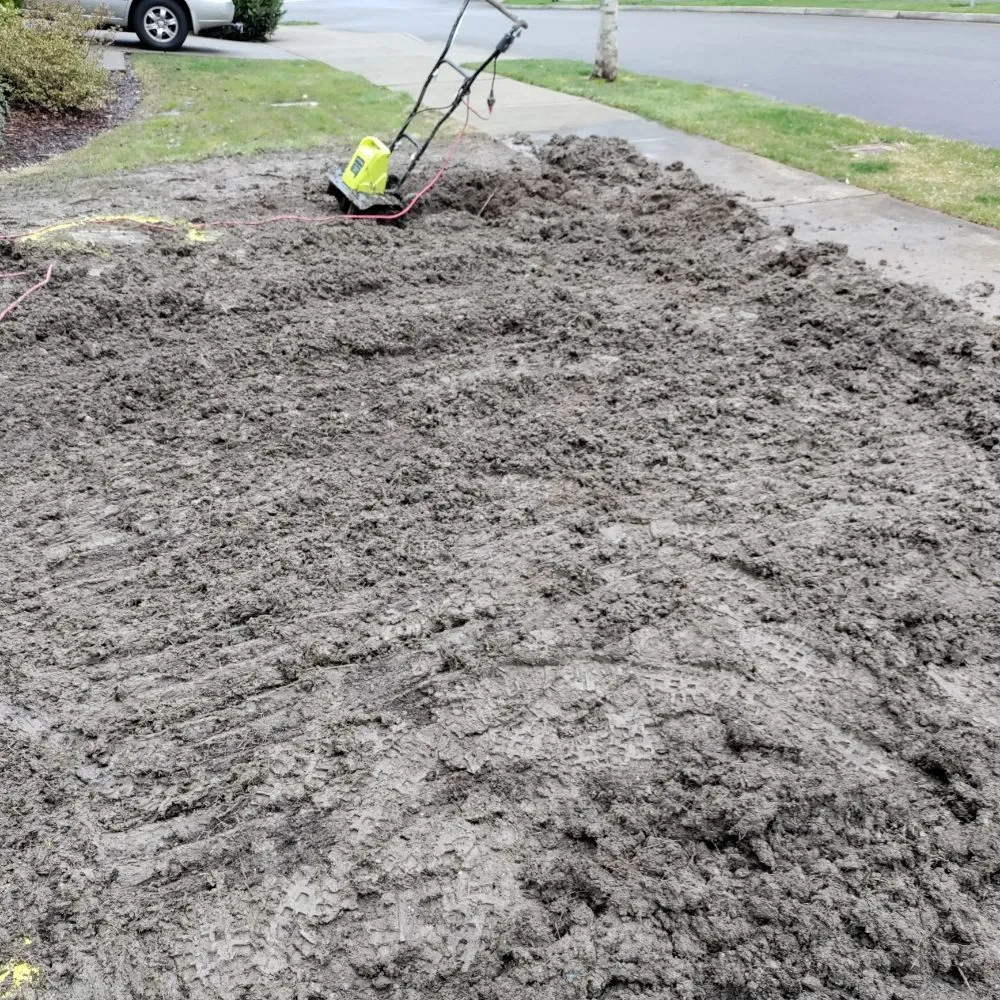 Reliable yard maintenance near you across Mount Pleasant, TX - Kountry Kuts Landscaping