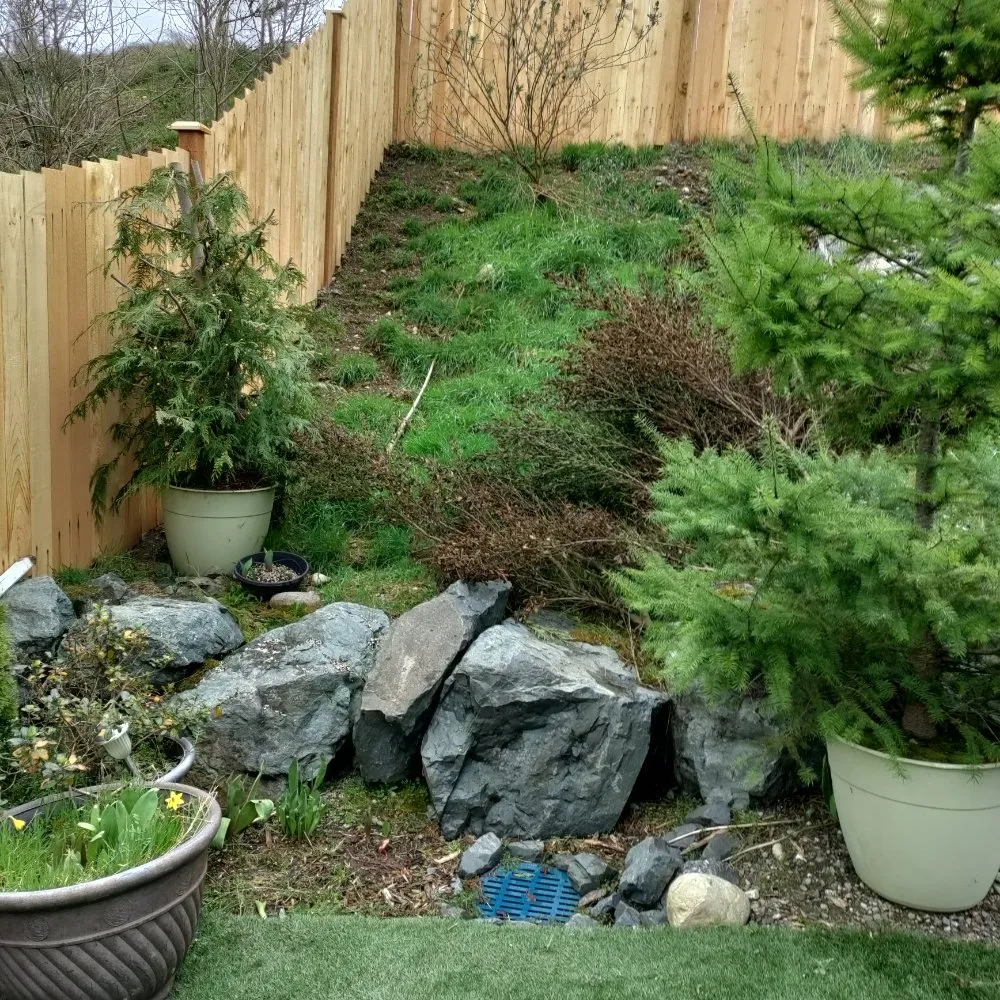 Reliable lawn care service experts serving Mount Pleasant, TX - Kountry Kuts Landscaping