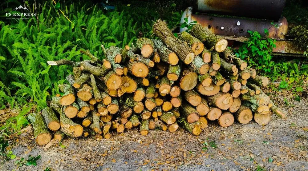 Trusted garden landscaping for residential properties across Thonotosassa, FL - Kountry Kuttin