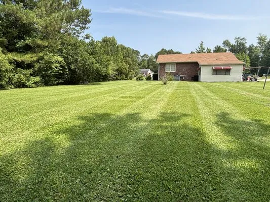 Kountry Kutz and Landscaping Logo