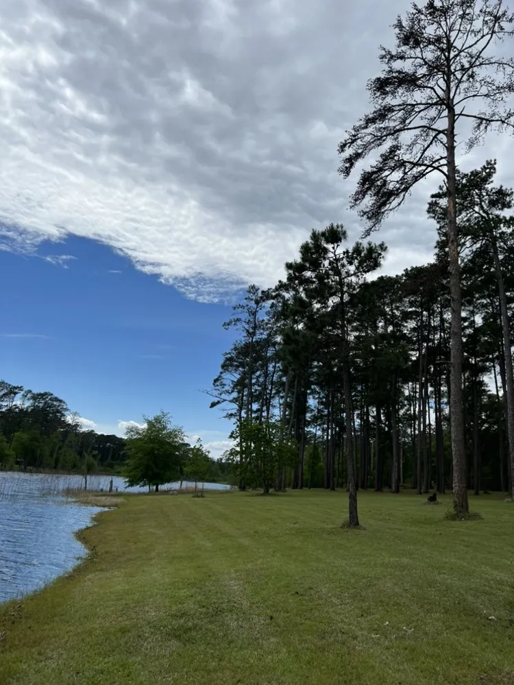 Affordable yard cleanup service in Huntington, TX by Kountry Kutz Lawn Services