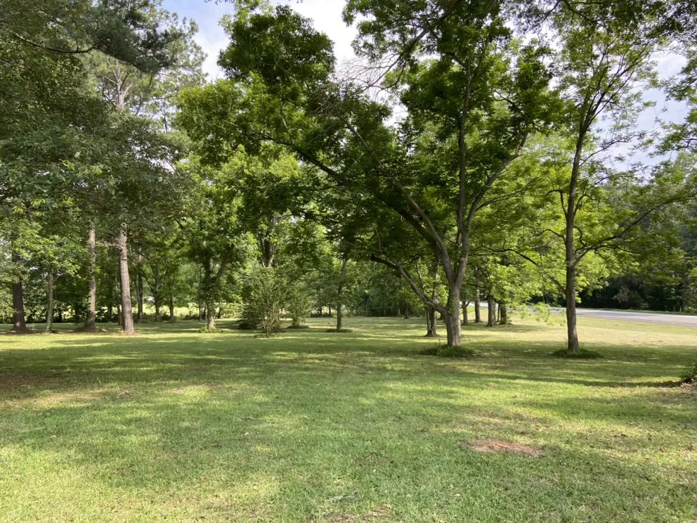 Reliable yard cleanup service in Huntington, TX - Kountry Kutz Lawn Services