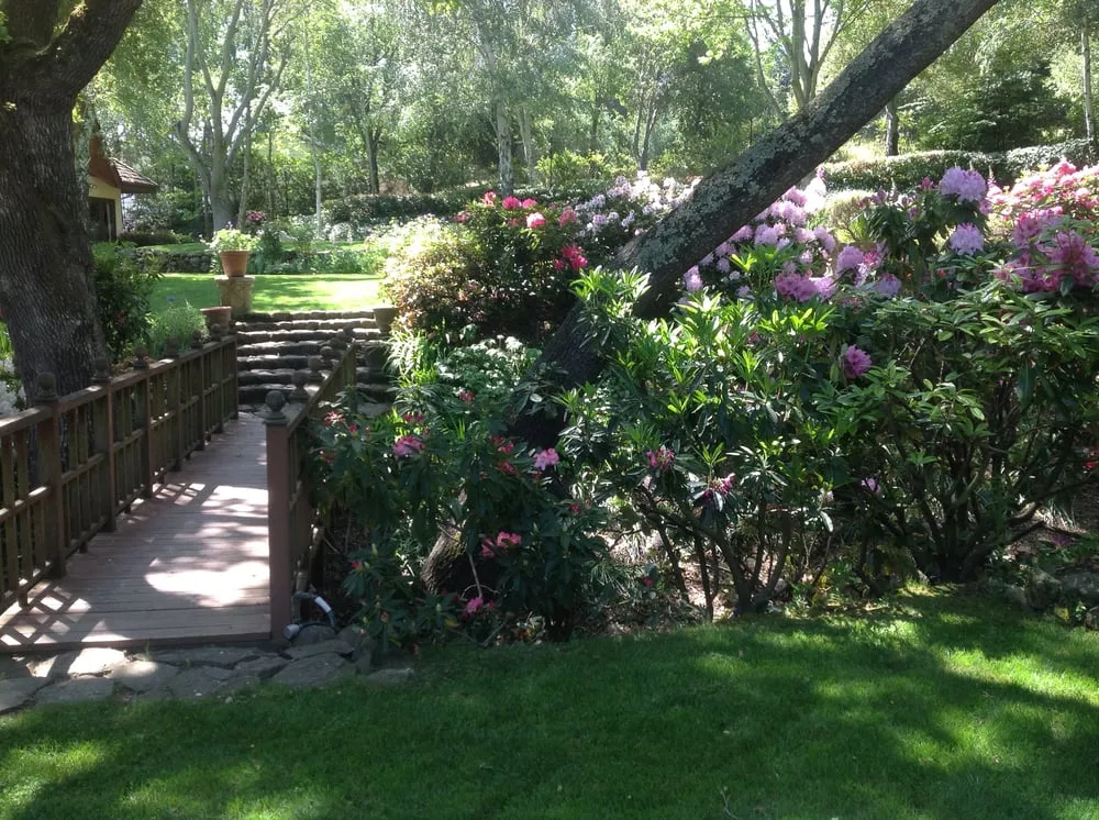 Local outdoor landscaping in Santa Clara, CA by Kovax Landscaping