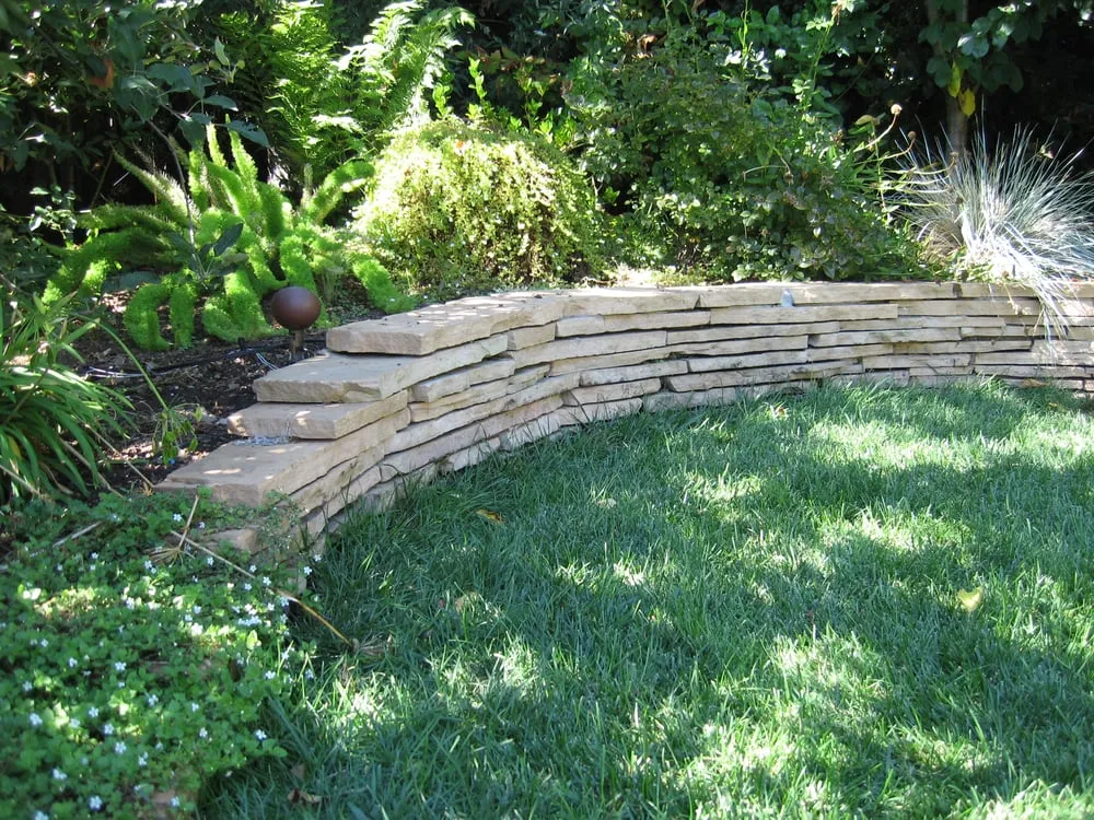 Professional yard cleanup service with custom design in Santa Clara, CA by Kovax Landscaping