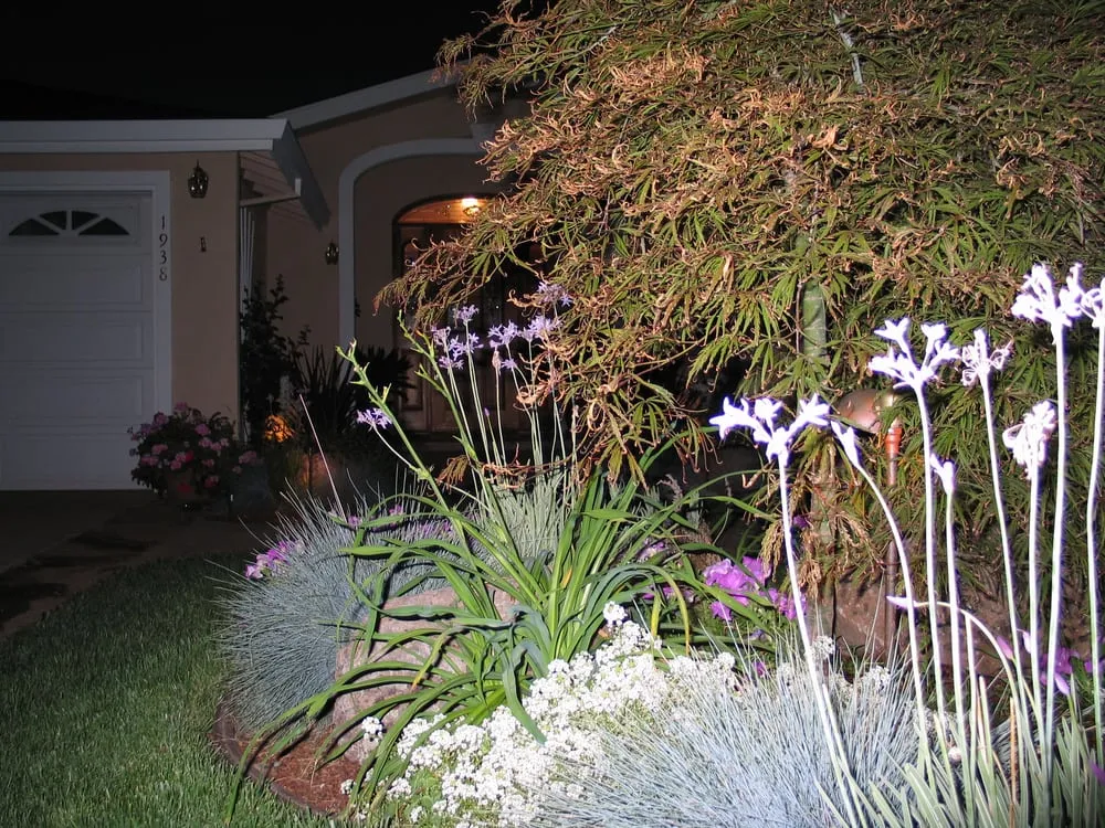 Professional landscaping services in Santa Clara, CA - Kovax Landscaping
