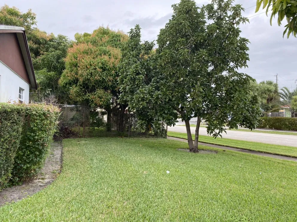 Affordable yard maintenance for beautiful yards across West Palm Beach, FL - Koyo-13 Cutting Tree & Best Landscaping