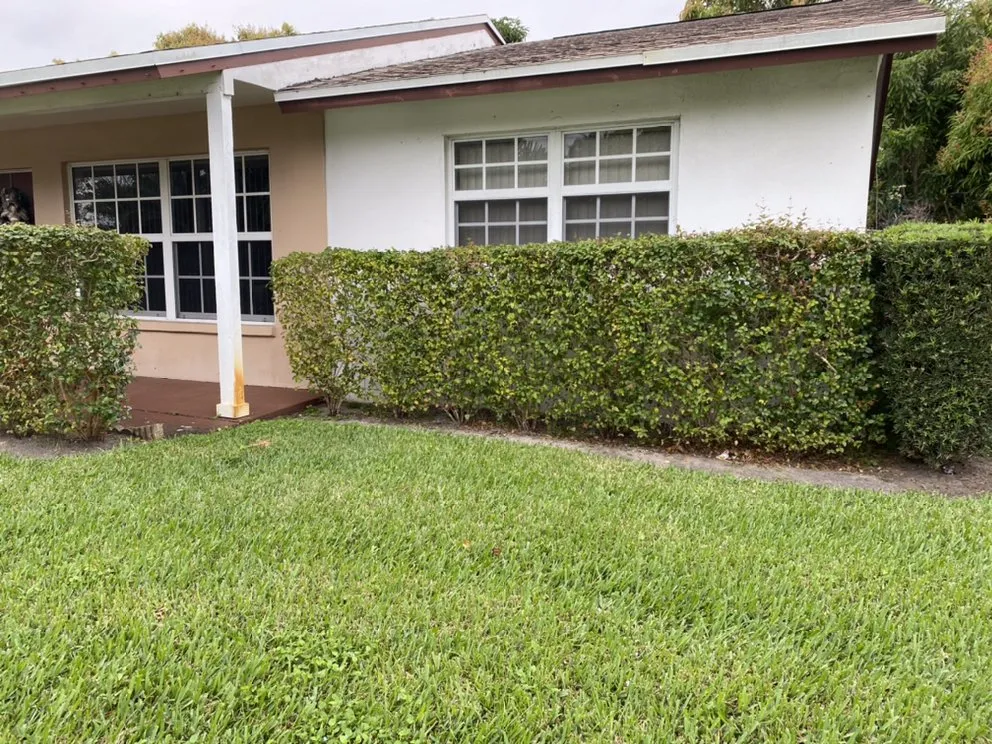 Affordable garden landscaping for outdoor upgrades across West Palm Beach, FL - Koyo-13 Cutting Tree & Best Landscaping