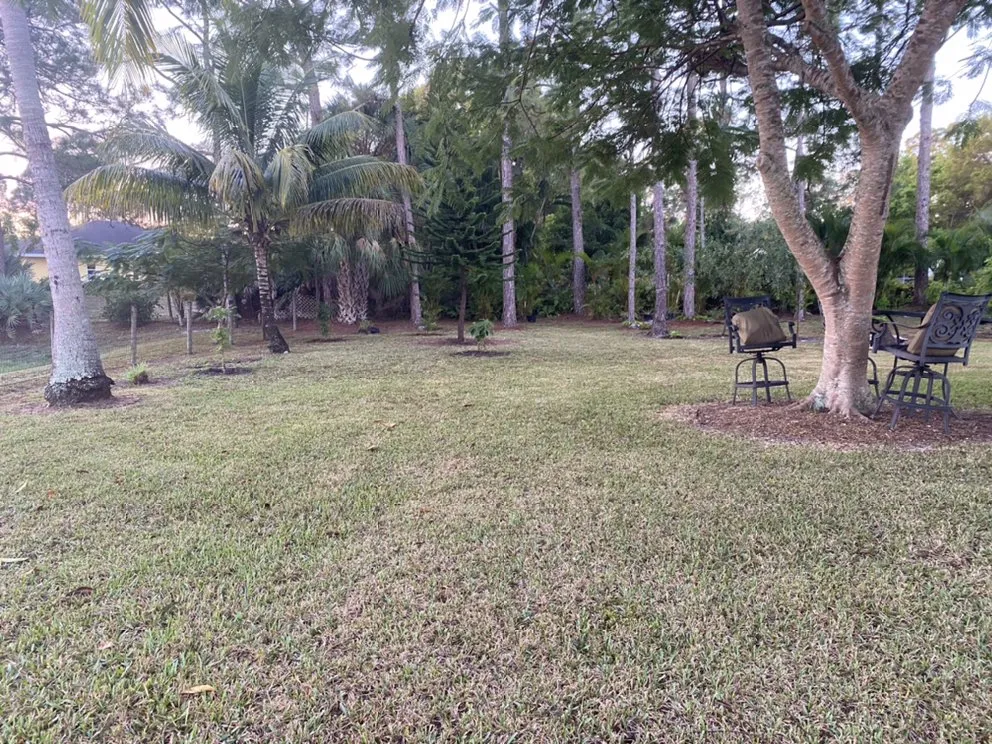 Expert landscape design for residential properties in West Palm Beach, FL by Koyo-13 Cutting Tree & Best Landscaping