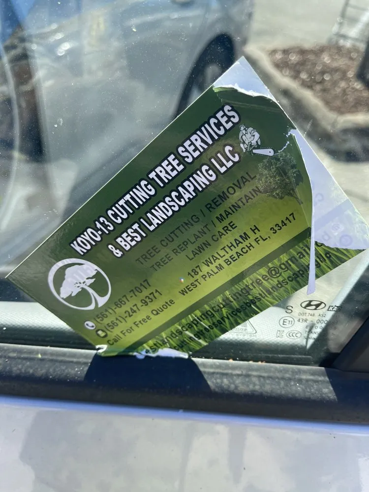 Trusted outdoor landscaping in West Palm Beach, FL - Koyo-13 Cutting Tree & Best Landscaping