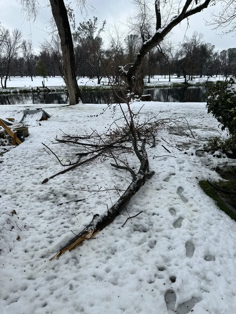 Local residential landscaping in Redding, CA - Kozas Hauling & Junk Removal