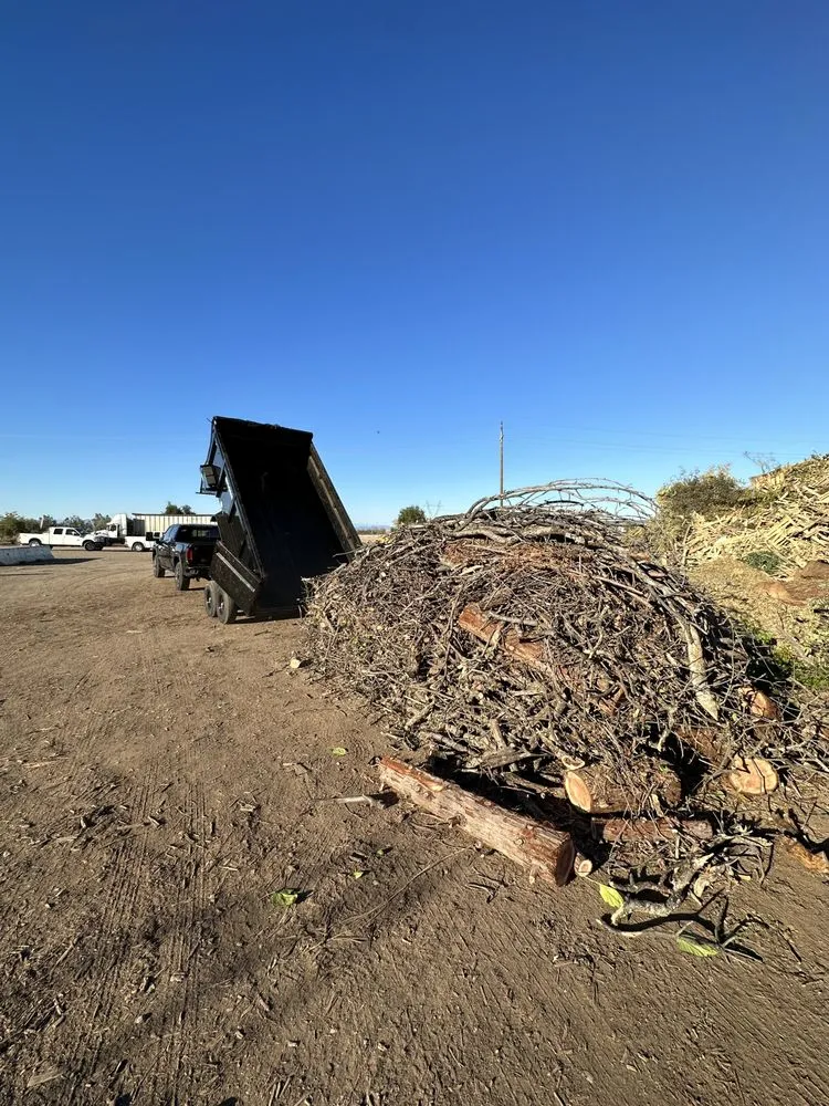 Affordable yard cleanup service in Redding, CA by Kozas Hauling & Junk Removal