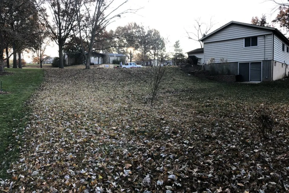 Expert lawn care service for homes across St Louis, MO - Kozeny's Lawn Service