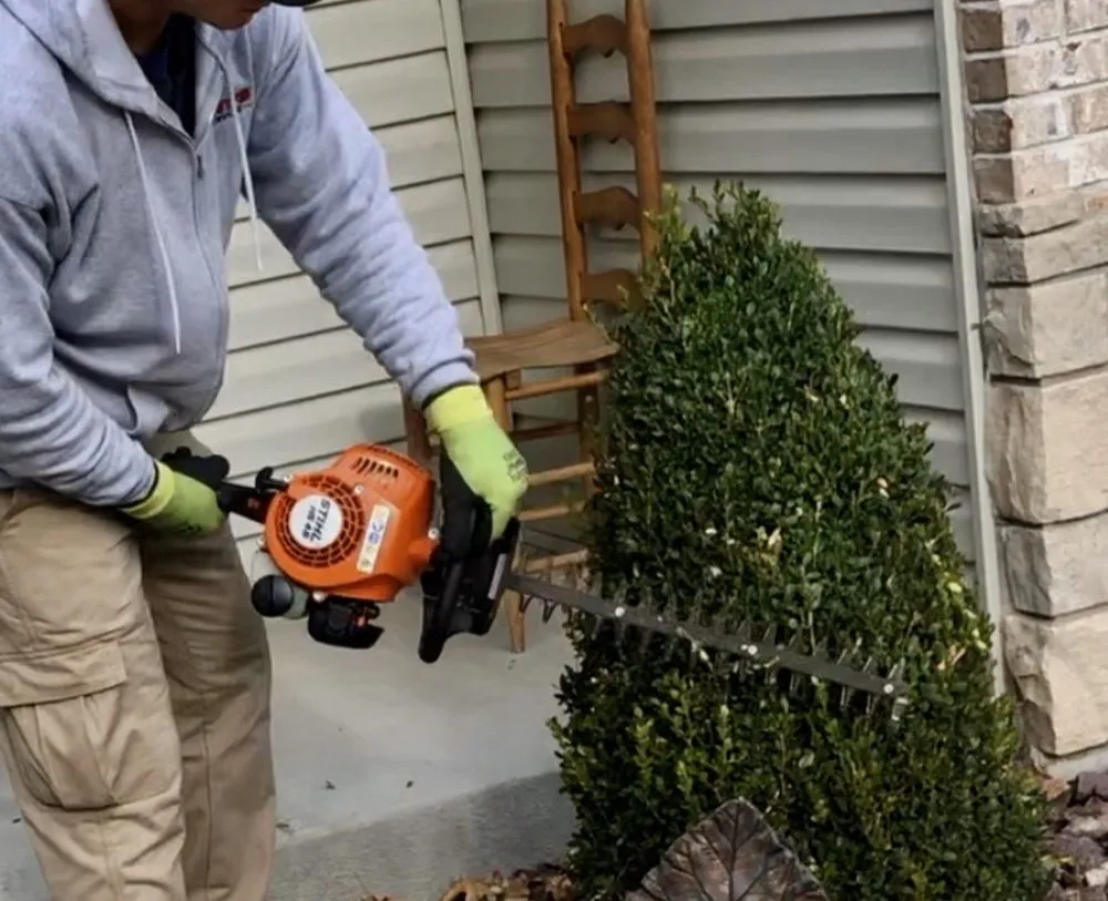 Professional yard maintenance in St Louis, MO - Kozeny's Lawn Service