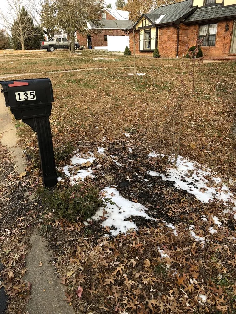 Top-rated yard maintenance for outdoor upgrades in St Louis, MO by Kozeny's Lawn Service