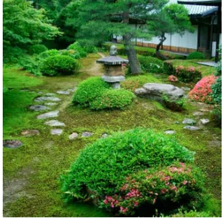 Custom yard cleanup service in Oakland, CA by Kozuki Landscaping