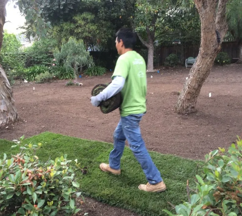 Top-rated lawn mowing service near you across Oakland, CA - Kozuki Landscaping