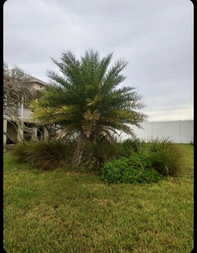 Expert landscape installation near you in Middleburg, FL by Kozy Creations Landscape Design