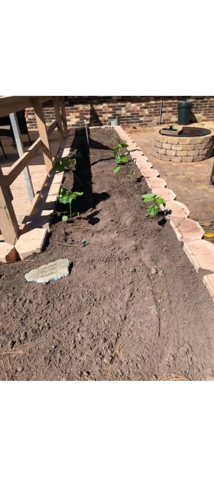 Top-rated lawn care service for beautiful yards in Middleburg, FL by Kozy Creations Landscape Design