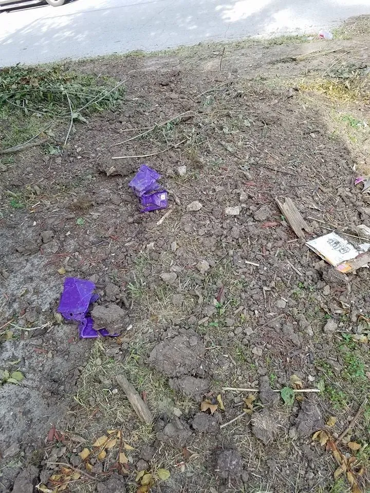 Affordable lawn care service experts serving Omaha, NE - Kozy Lawn Care