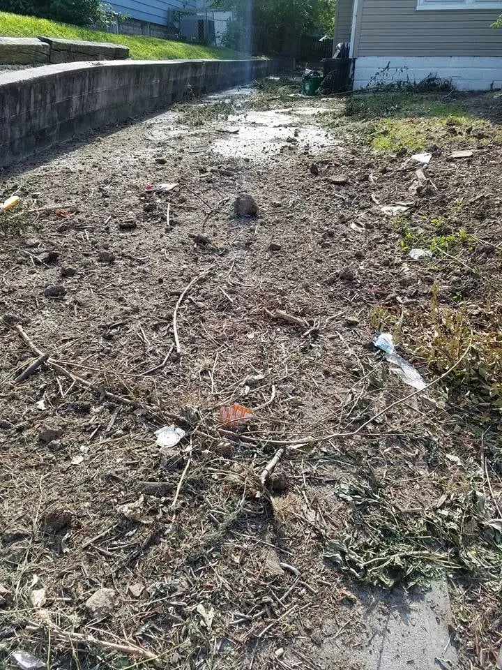 Local lawn care service in Omaha, NE - Kozy Lawn Care