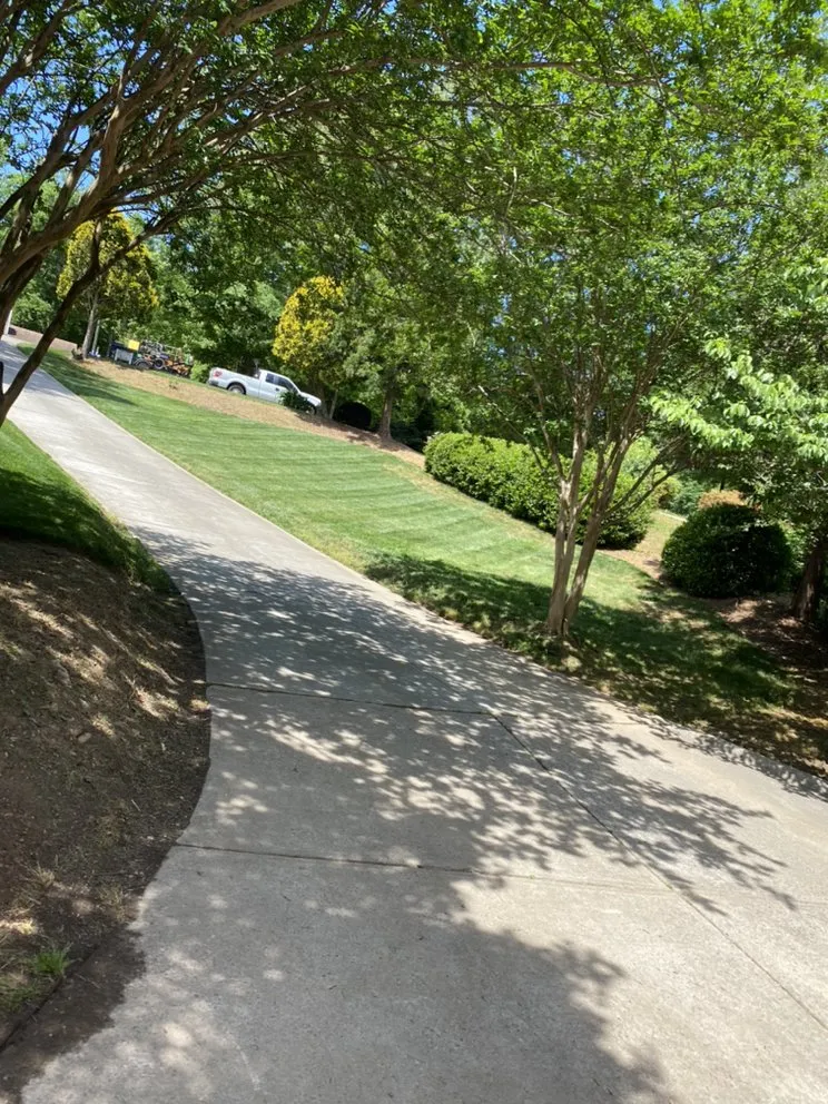 Expert landscape design in Youngsville, NC - KP Landscapes