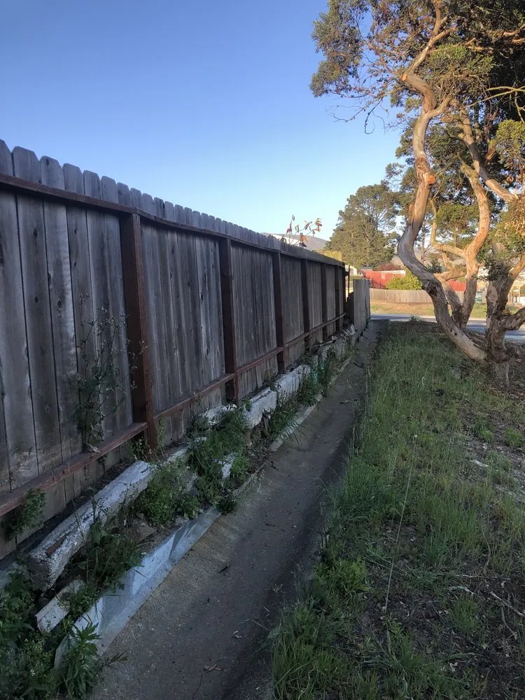 Local yard cleanup service in San Leandro, CA - KP Landscaping & Concrete Service