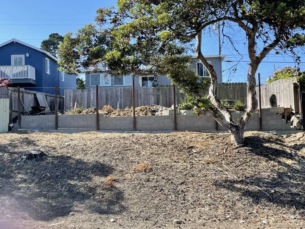 Affordable lawn care service experts serving San Leandro, CA - KP Landscaping & Concrete Service