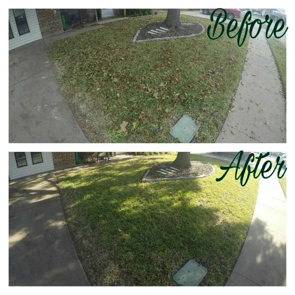 Professional yard maintenance for homes in Wichita Falls, TX by KP Landscaping & Lawn Care