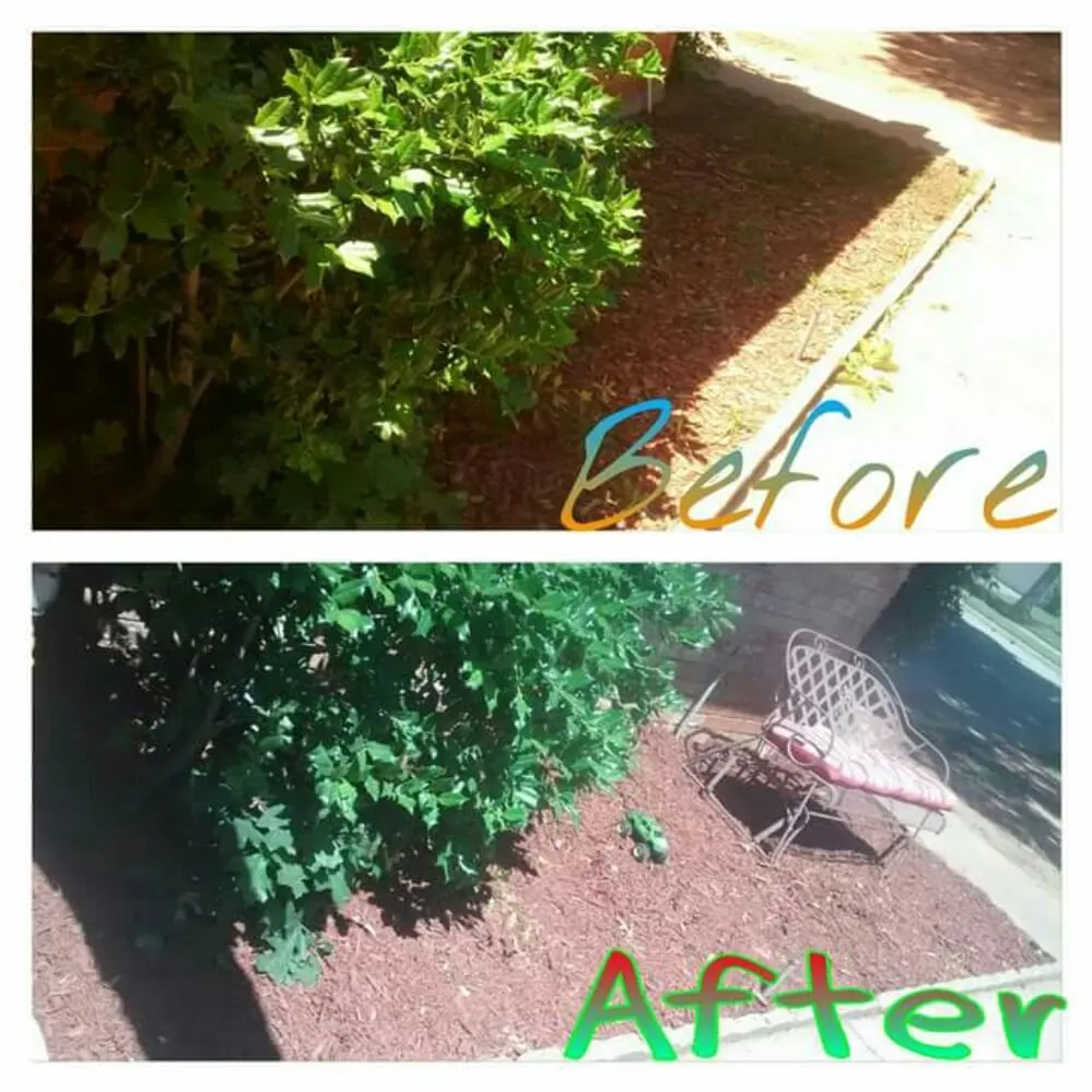 Affordable landscape installation for residential properties in Wichita Falls, TX by KP Landscaping & Lawn Care
