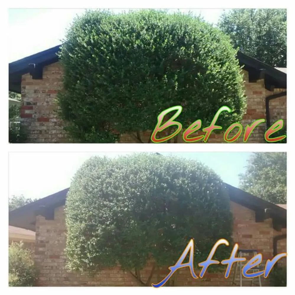 Trusted residential landscaping for outdoor upgrades across Wichita Falls, TX - KP Landscaping & Lawn Care