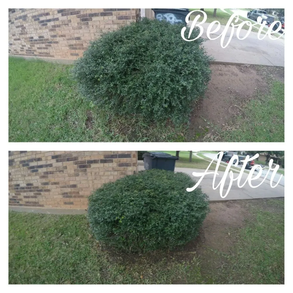 Expert lawn care service in Wichita Falls, TX - KP Landscaping & Lawn Care